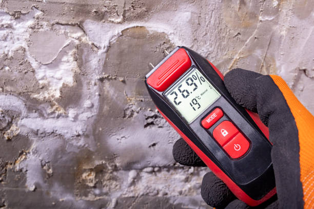 Best Mold Removal Near Me  in Janesville, IA