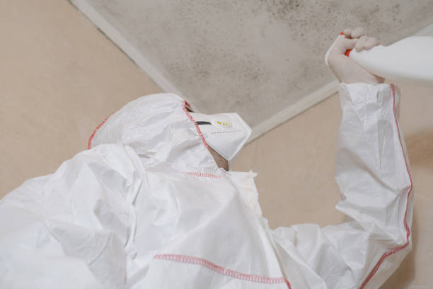 Best Crawl Space Mold Removal  in Janesville, IA