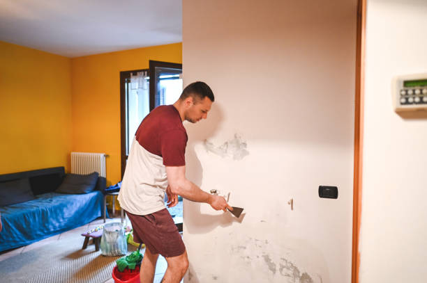 Best Office Mold Removal Services  in Janesville, IA