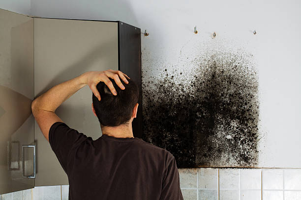 Best Mold Testing  in Janesville, IA